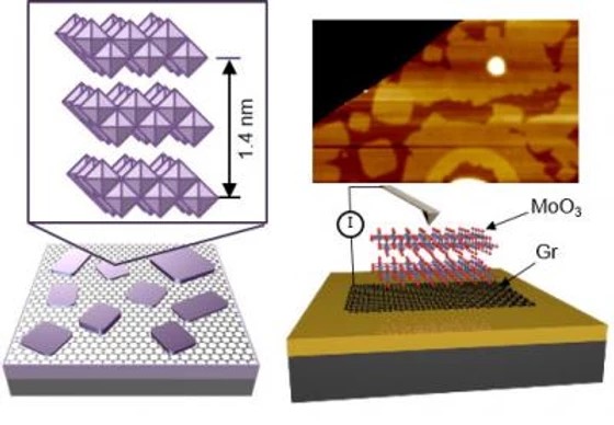 Codex International - Epitaxially-grown molybdenum oxide advances as a bulk-like 2D dielectric layer.