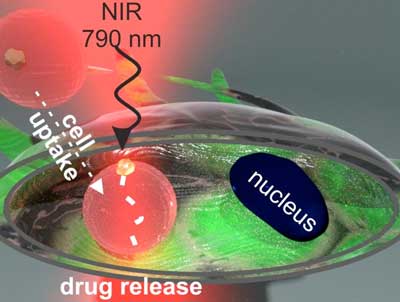 Drug release inside the cell- Codex International