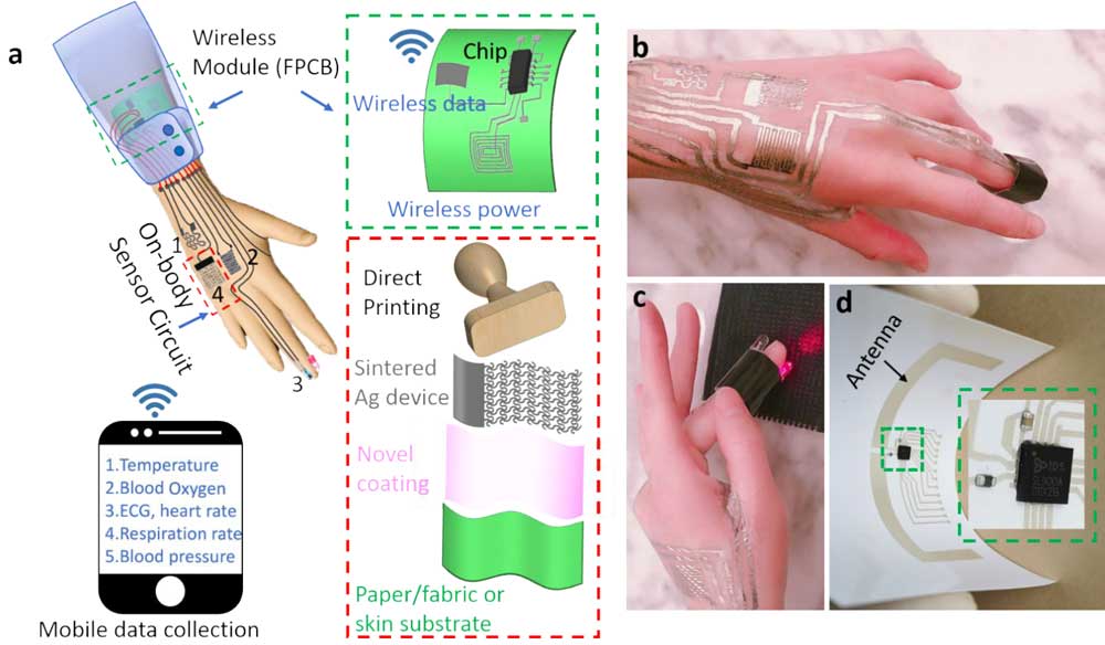 Wearable electronique - Codex International