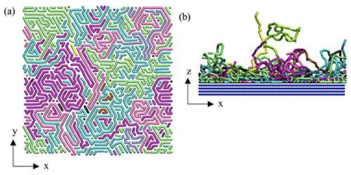 MD simulations of polymer chains - Codex International
