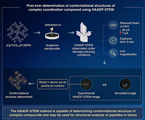 nanotechnology molecular - codex international