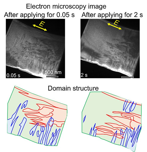 ultrasound imaging technology - Codex International 