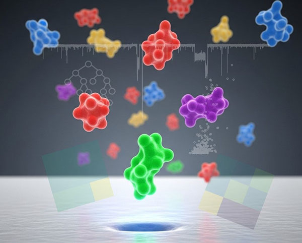 new molecular analysis tool+ Codex International 2