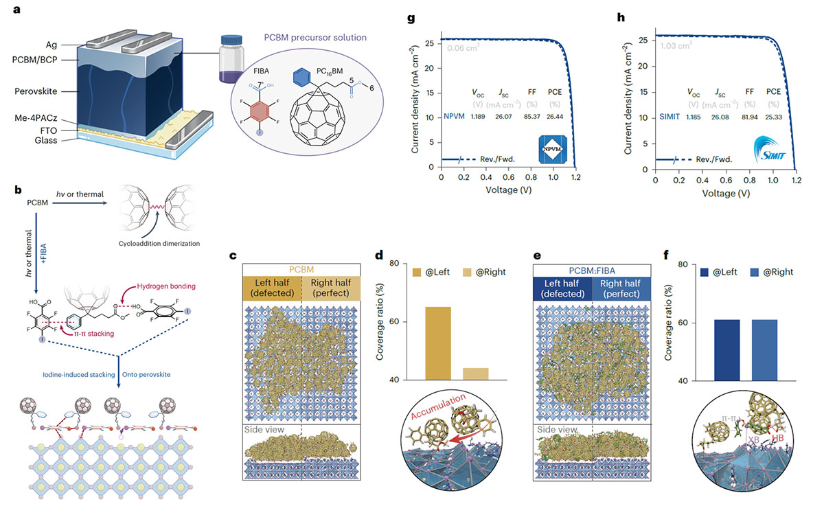 An optimized transport layer +Codex International