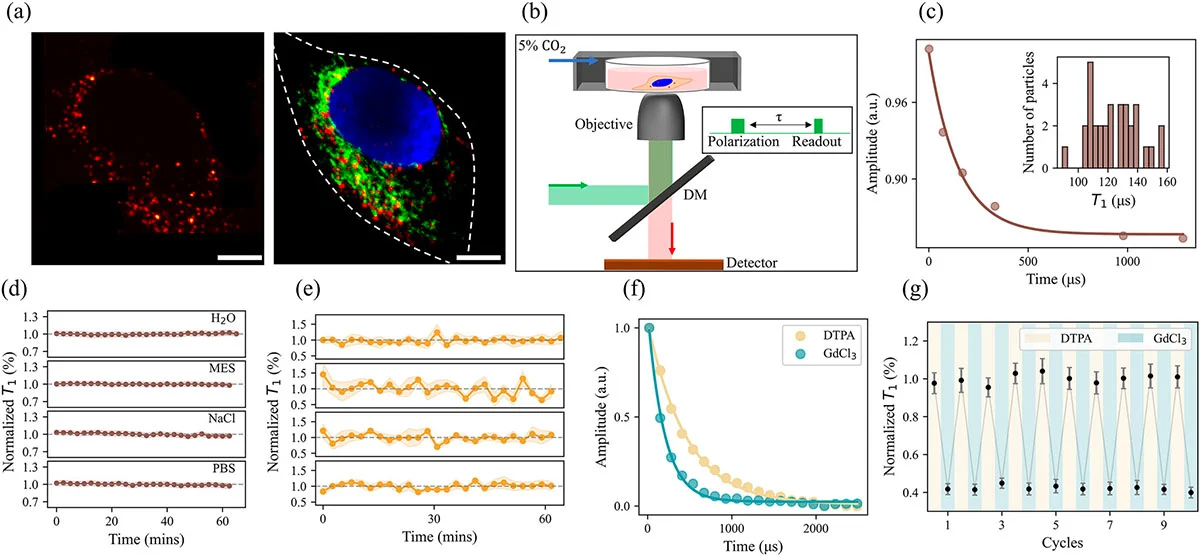 Nanodiamond quantum sensors + Codex International