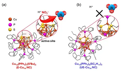 catalytic activity (2) + Codex International