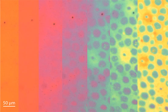 Nanostructured material + Codex International