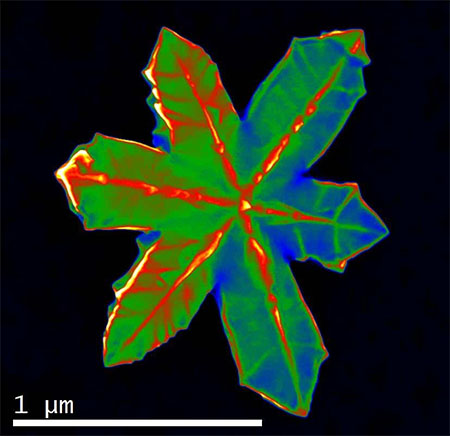Metal nanocrystals + Codex International