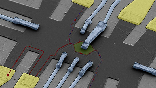 particles + Codex International