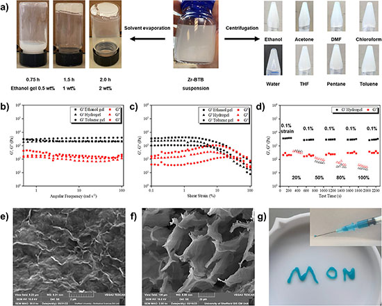Porous nanosheet gels + Codex International