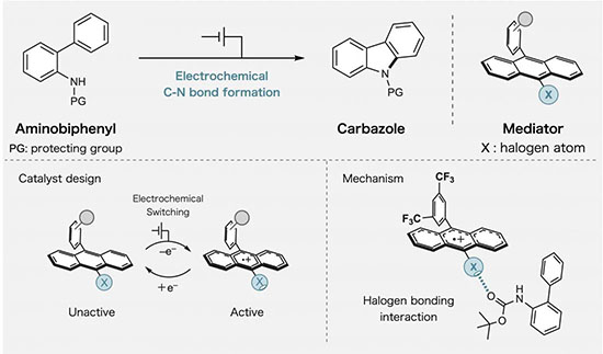 electrocatalytic reactions + Codex International