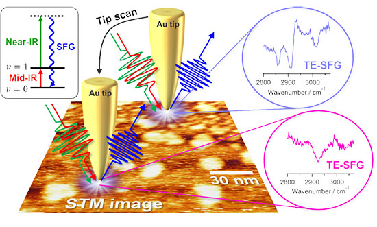 spectroscopy + Codex International